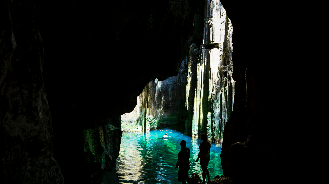 Sign up for new adventures everyday...