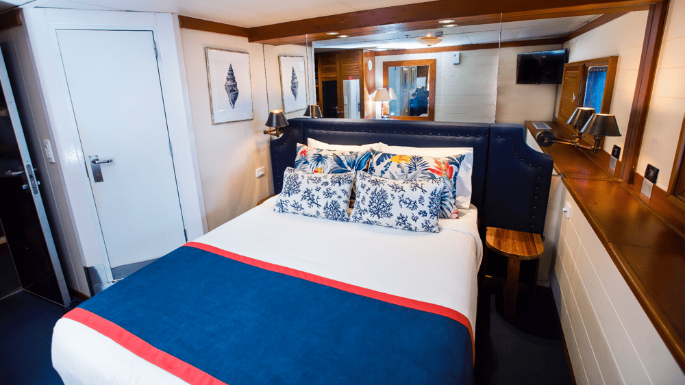 Your Hibiscus Cabin for the journey