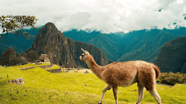 Machu Picchu & Lake Titicaca Journey