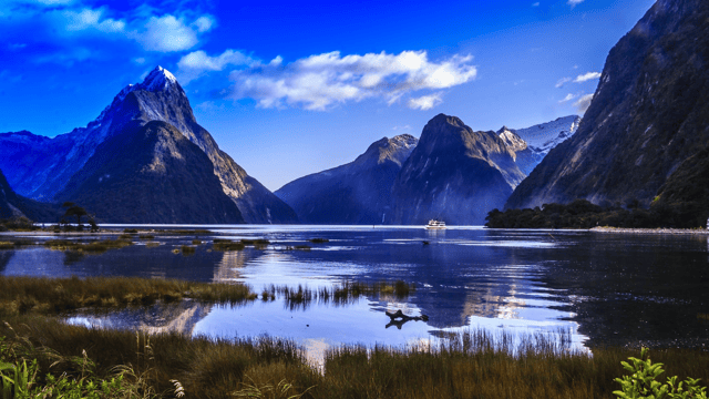 A Kiwi Holiday: Sydney to Auckland
