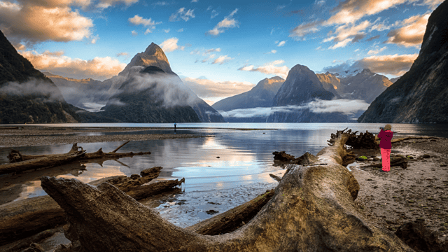 Australia & New Zealand Coastal Cruise (Dec 2026)