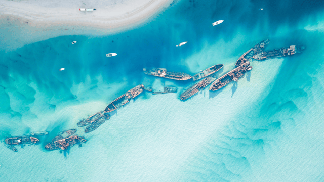 Discover Moreton Island Cruise