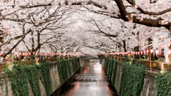 Tokyo, Japan