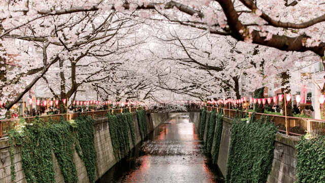 Icons of Japan & South Korea