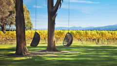 Relax at Cloudy Bay Estate and enjoy a Wine Tasting 