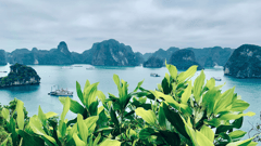 Halong Bay, Vietnam