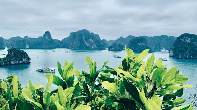 Indochina & Islands: Malaysia, Thailand & Vietnam (Feb 2027)