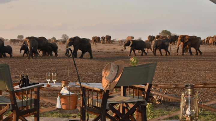 Ladies Only Kenya Tour: Guided Small Group Safari