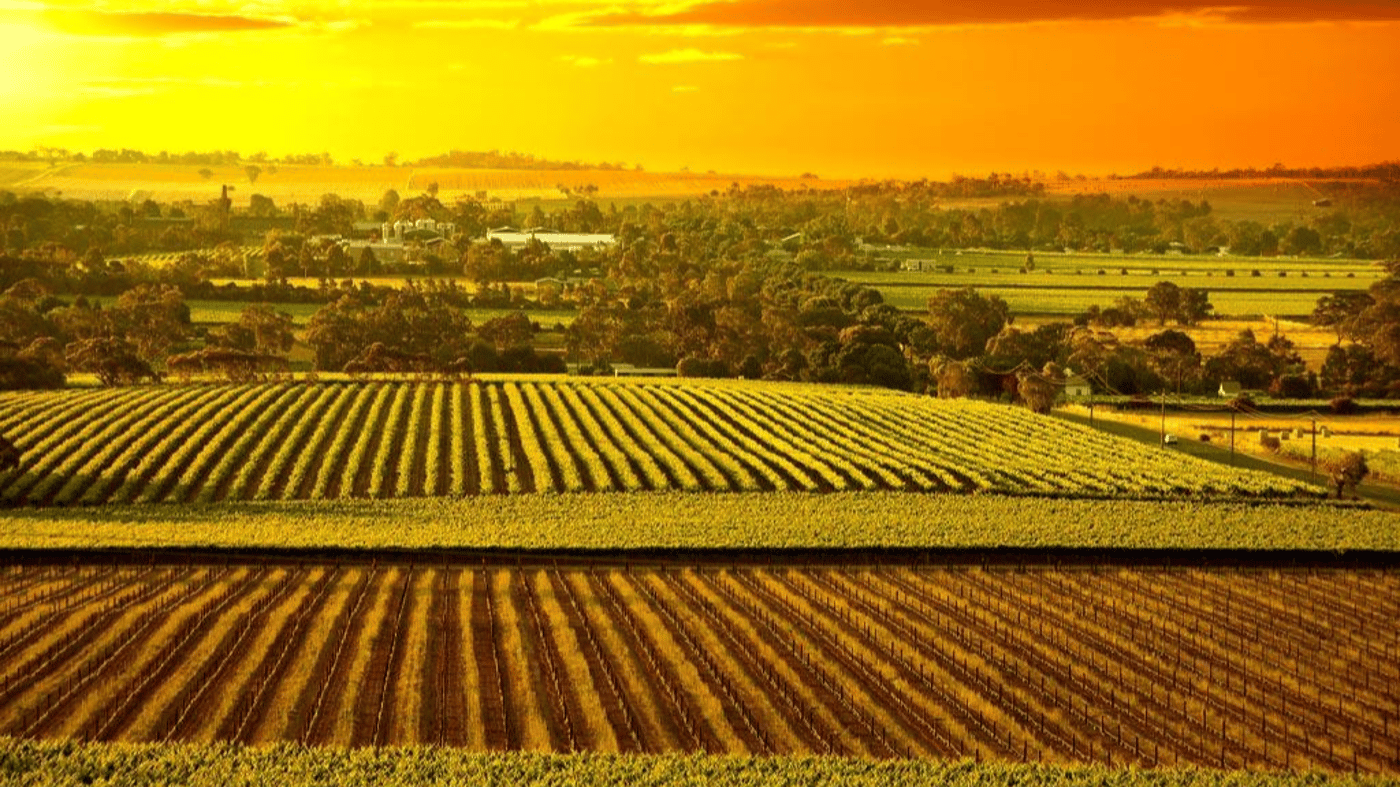 The Barossa is bursting with new discoveries and hidden gems; there's something for everyone to enjoy.
