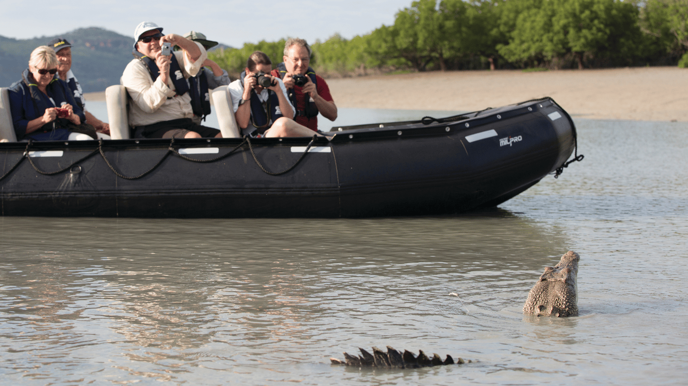 Crocodile watching on the Hunter River, Australia