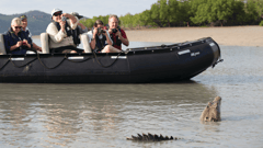 Crocodile watching on the Hunter River, Australia