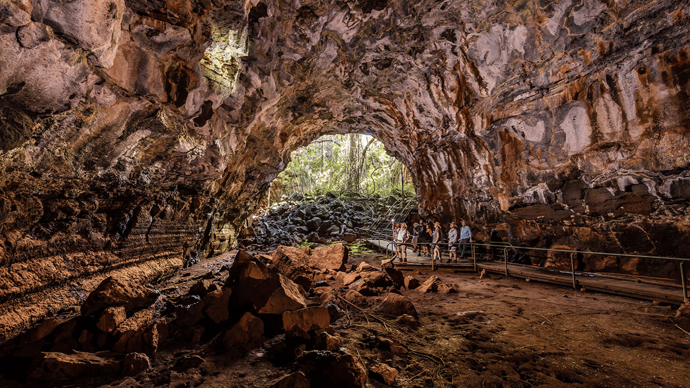 You will be in awe as you walk through the world’s largest lava tubes at Undara