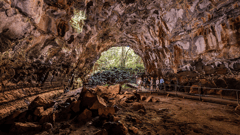 You will be in awe as you walk through the world’s largest lava tubes at Undara