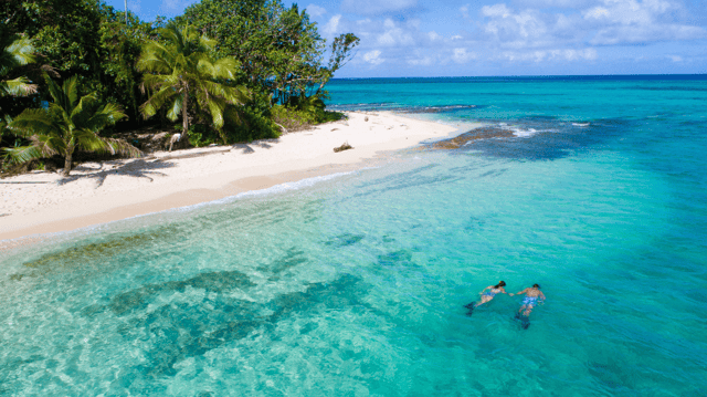 Pacific Paradise Cruise (2027)