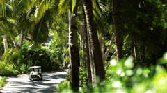 Getting out and exploring the Island has never been so easy with complimentary use of a golf buggy included in your package!