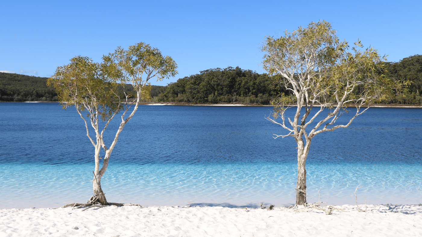 Visit gorgeous Lake McKenzie
