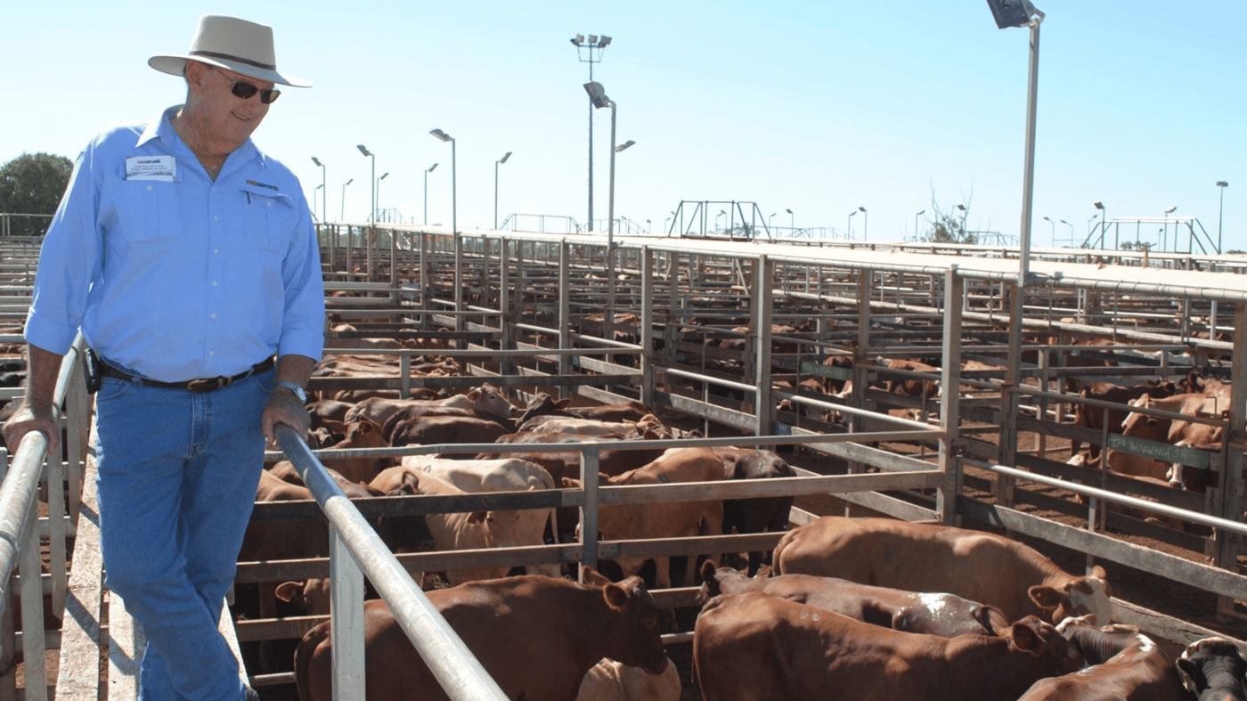 Visit the Roma Saleyards, the largest cattle selling facility in Australia