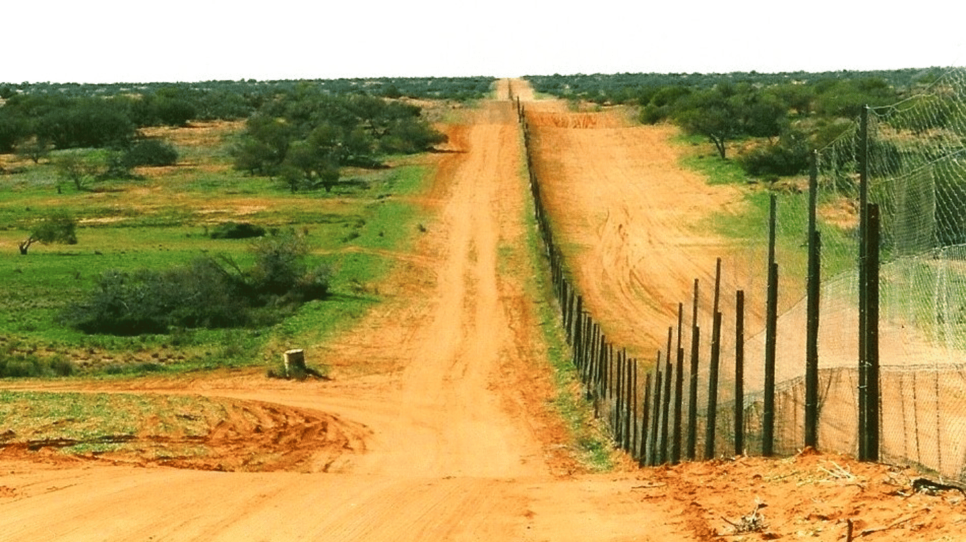 You'll see the Dingo Fence as you travel from Tibooburra to Innamincka