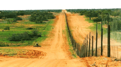 You'll see the Dingo Fence as you travel from Tibooburra to Innamincka