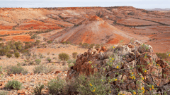Take in spectacular views from Deon’s Lookout, Birdsville