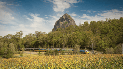 Sit back, relax and watch the beautiful scenery pass you by as you take the Tilt Train from the Capricorn Coast back to Brisbane