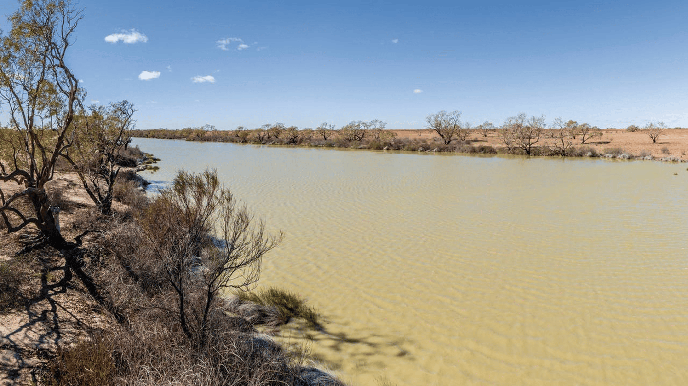 Take a stroll to the Birdsville Billabong where birdlife, fish and yabbies abound