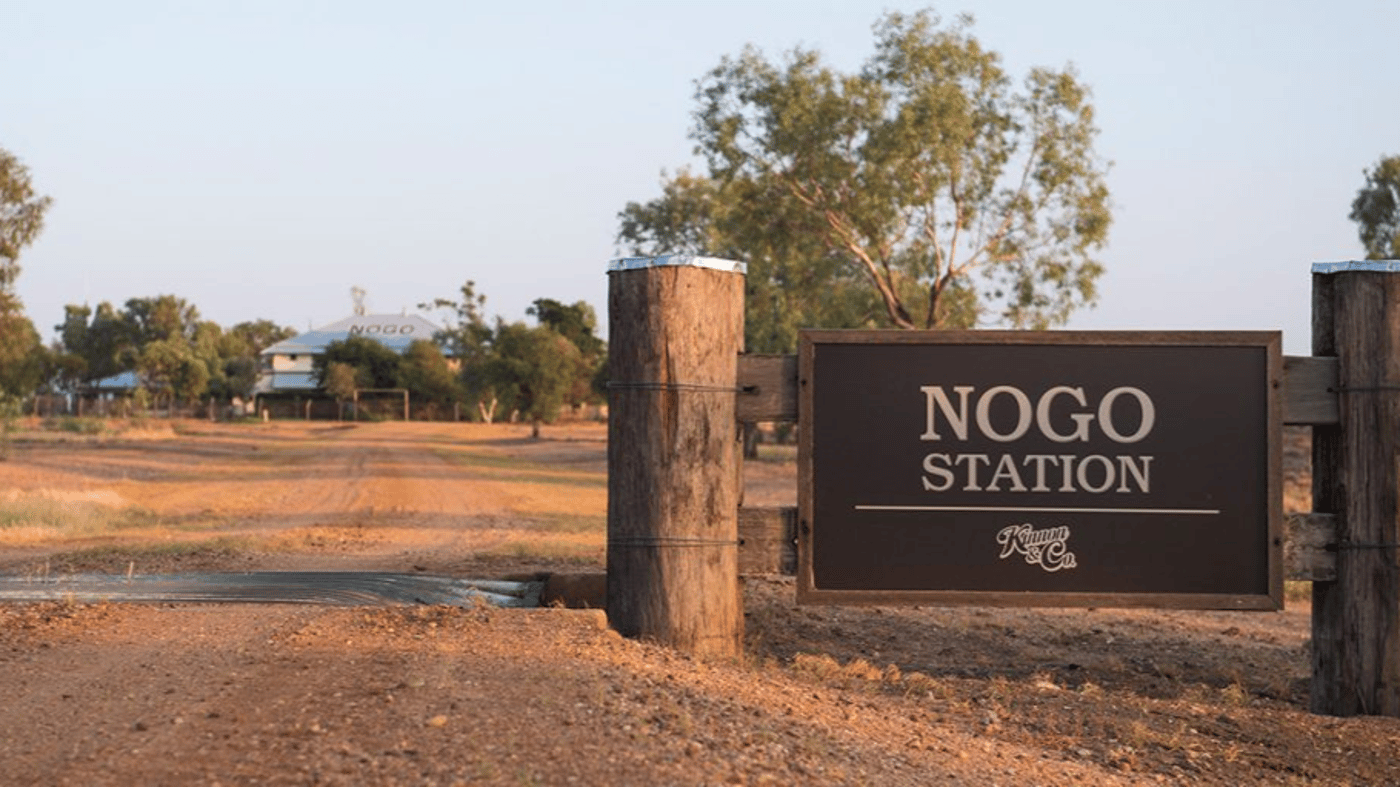 The heart of outback life is the station. It’s at Nogo Station that the Kinnon family really share their world. From the merino story in the historic shearing sheds to the cattle and camels on the amazing station safari, you’ll see it all through the eyes of your Kinnon family host 
