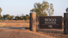 The heart of outback life is the station. It’s at Nogo Station that the Kinnon family really share their world. From the merino story in the historic shearing sheds to the cattle and camels on the amazing station safari, you’ll see it all through the eyes of your Kinnon family host 