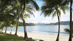 Relax on Catseye Beach