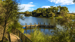 Cruise up the Swan River to the Swan Valley to visit wineries