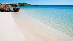 Spend the day exploring stunning Rottnest Island