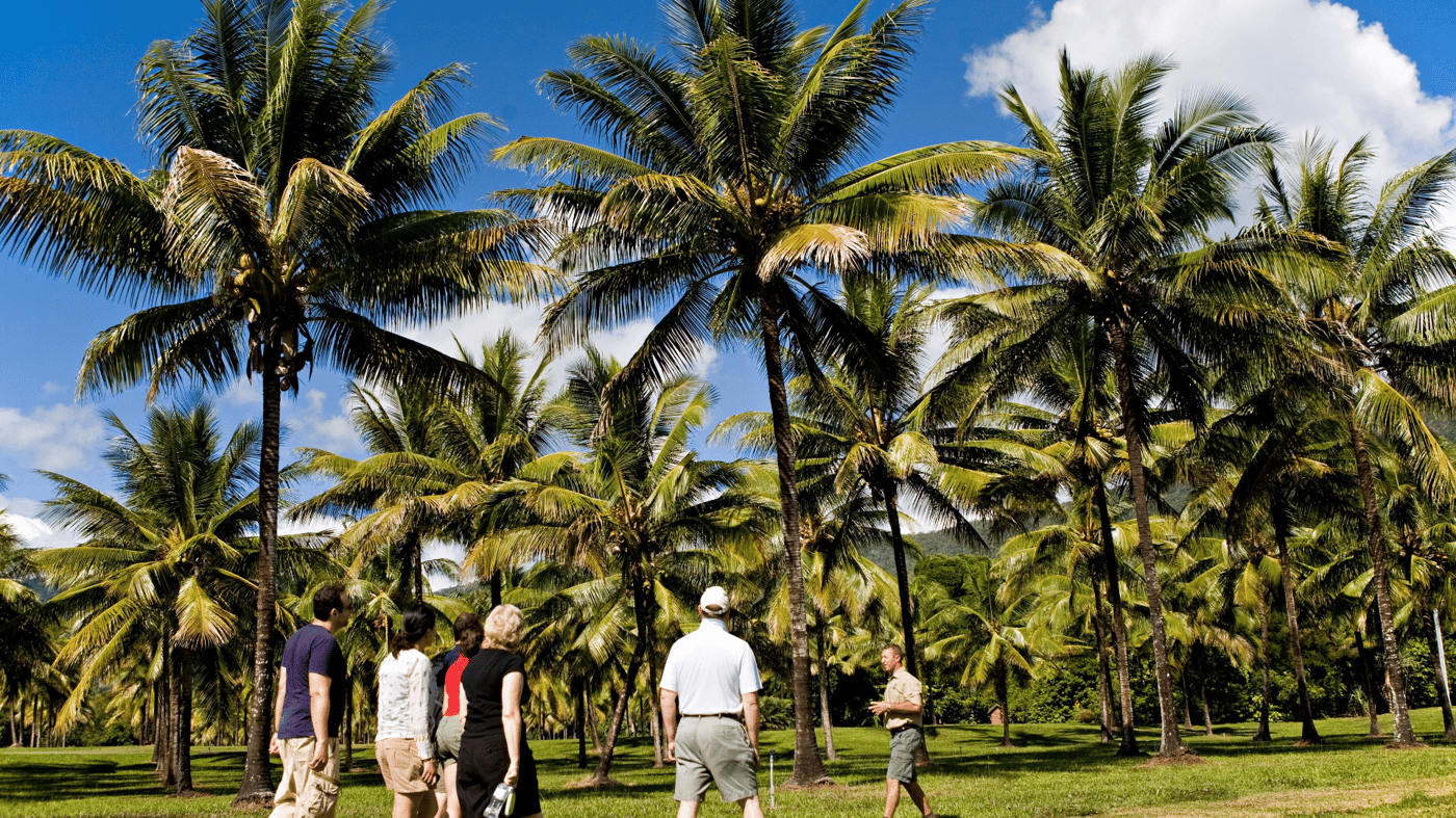 Enjoy a tour of the coconut plantation