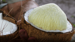 and taste fresh coconut - straight from the plantation