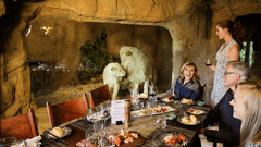 Meet your fellow dinner guests at Jamala Wildlife Lodge