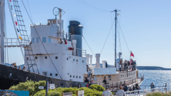 Visit the only complete whaling station tourism attraction in the world! Albany's Historic Whaling Station was the last operating station in Australia and provides a fascinating insight into Albany's colourful past.
