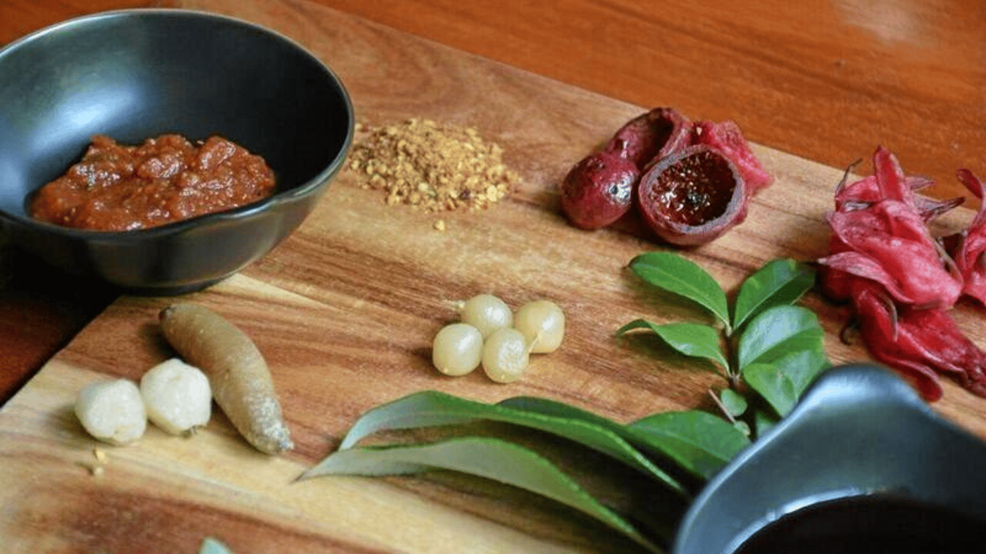 Enjoy a Bush Tucker & Taste tour