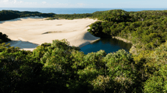 Lake Wabby is a small freshwater, green coloured lake on Fraser Island