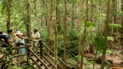 Join a guided Ranger tour through Wanggoolba Creek