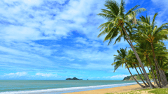 With the ship docked overnight in Cairns you will have plenty of time to explore! Cairns is surrounded by a natural wonderland – the glorious Coral Sea on one side and lush rainforest hinterland on the other.