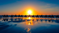 Watch the sunset over the Indian Ocean from Cable Beach, Broome
