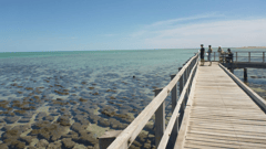 Travel to Hamelin Pool to see the world’s best known colony of Stromatolites, which date back to the beginning of life on earth