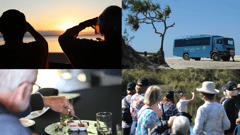 Fraser Island collage