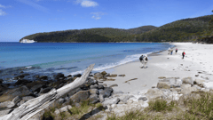 The Fortescue Bay to Waterfall Bay trail is noted for providing an experience of some of the most magnificent coastline in Tasmania