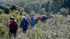 Freycinet Bay walk