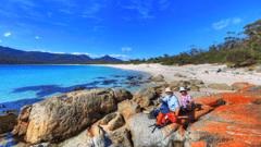 Join a beachcombers walk along Wineglass Bay, consistently voted one of the most breathtaking beaches in the world