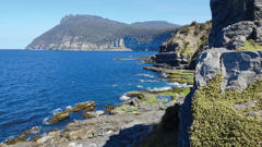 The dramatic coastline of Maria Island