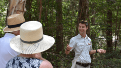 Enjoy a variety of complimentary Ranger-guided nature walks and talks