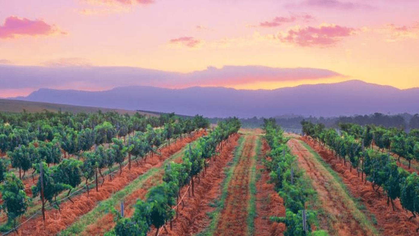 Hunter Valley Wine country