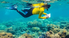 Rachel Carson Reef provides the main opportunity to assist the marine scientists