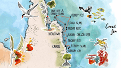 Your cruise map